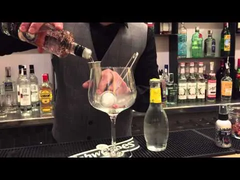 Como hacer un gin tonic con puerto de indias
