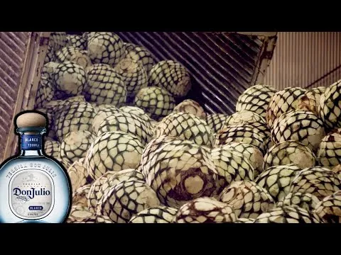 Como se obtiene el tequila
